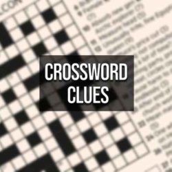 Too much water crossword clue