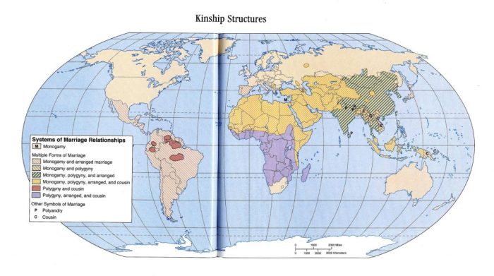 Kinship links ap human geography