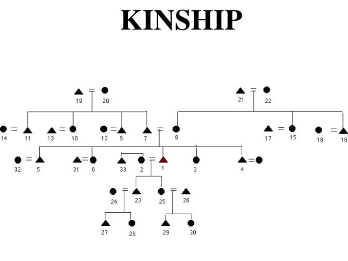 Kinship links ap human geography