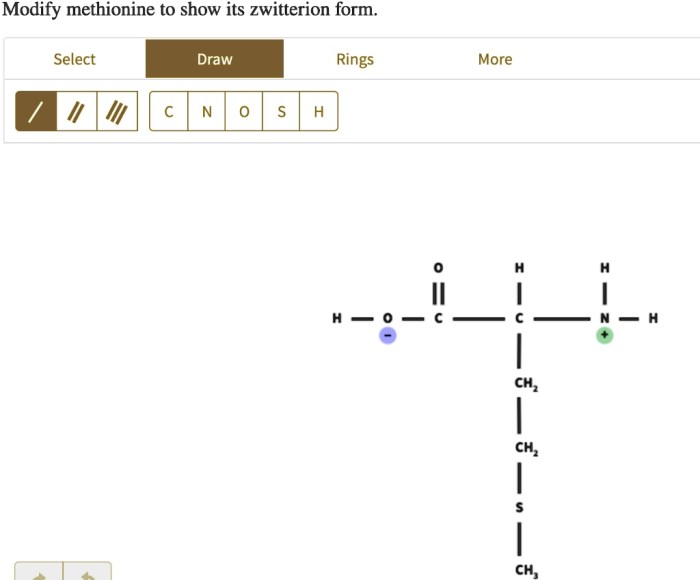 Modify methionine to show its zwitterion form.