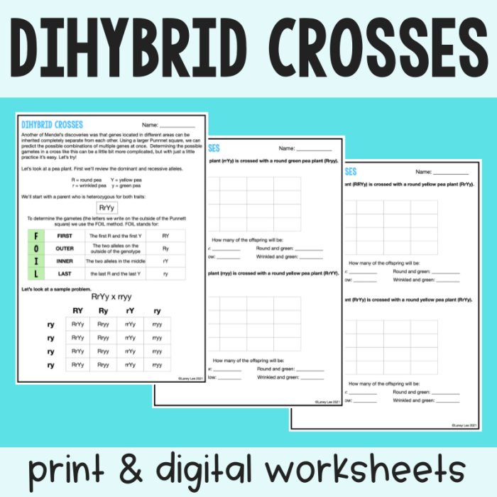 Turkey genetics dihybrid crosses answer key