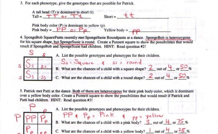 Turkey genetics dihybrid crosses answer key