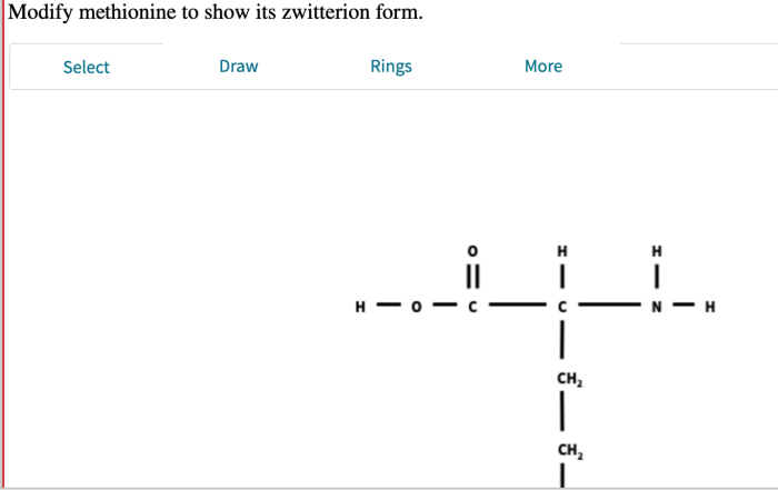 Modify zwitterion methionine lysine predominant its atoms bonds