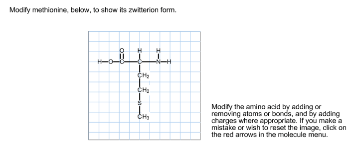 Modify methionine to show its zwitterion form.