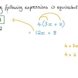 Equivalent expressions creating